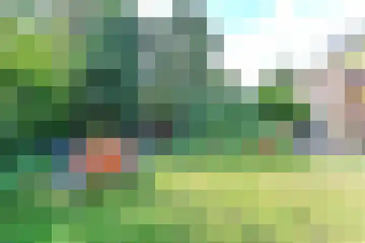 Paramaribostraat 6 Santpoort-Noord thumbnail 4