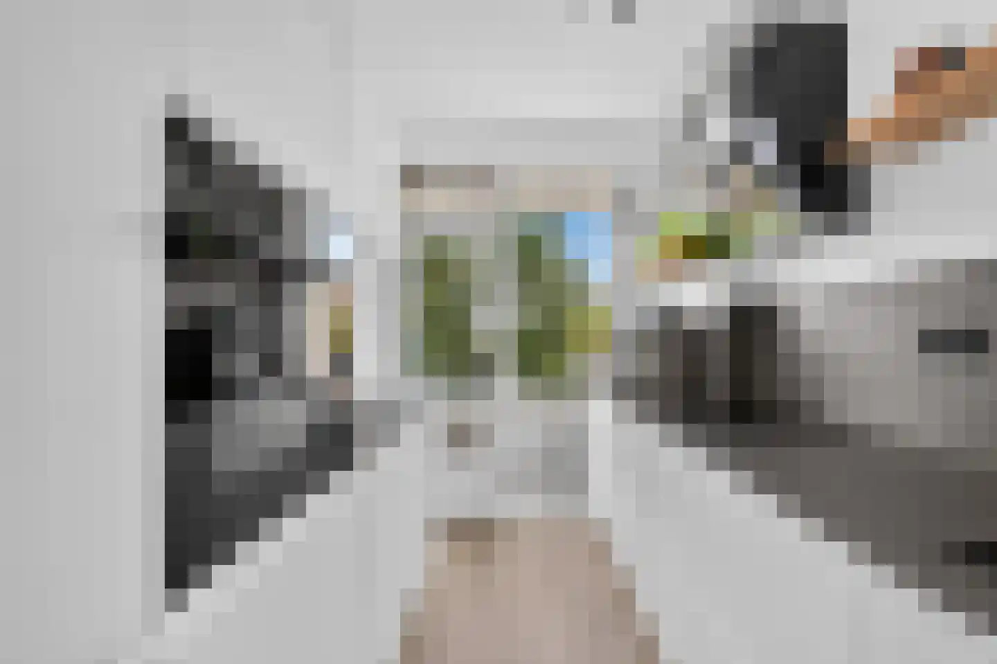 Paramaribostraat 7 Leiden thumbnail 15