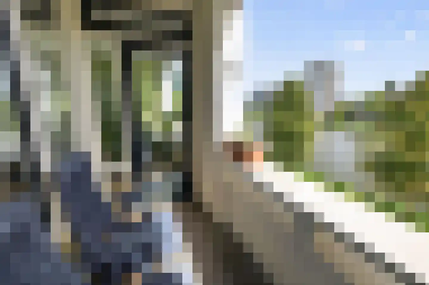 Paramaribostraat 7 Leiden thumbnail 29