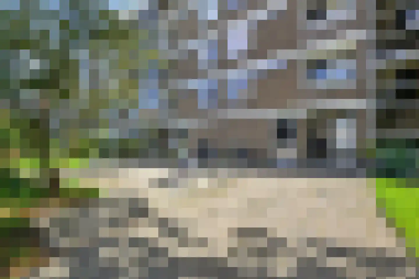 Paramaribostraat 7 Leiden thumbnail 36