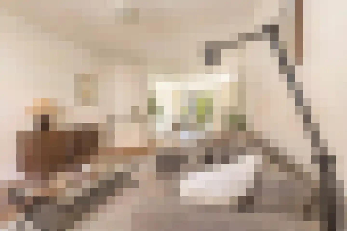 Paramaribostraat 71 1 Amsterdam thumbnail 4