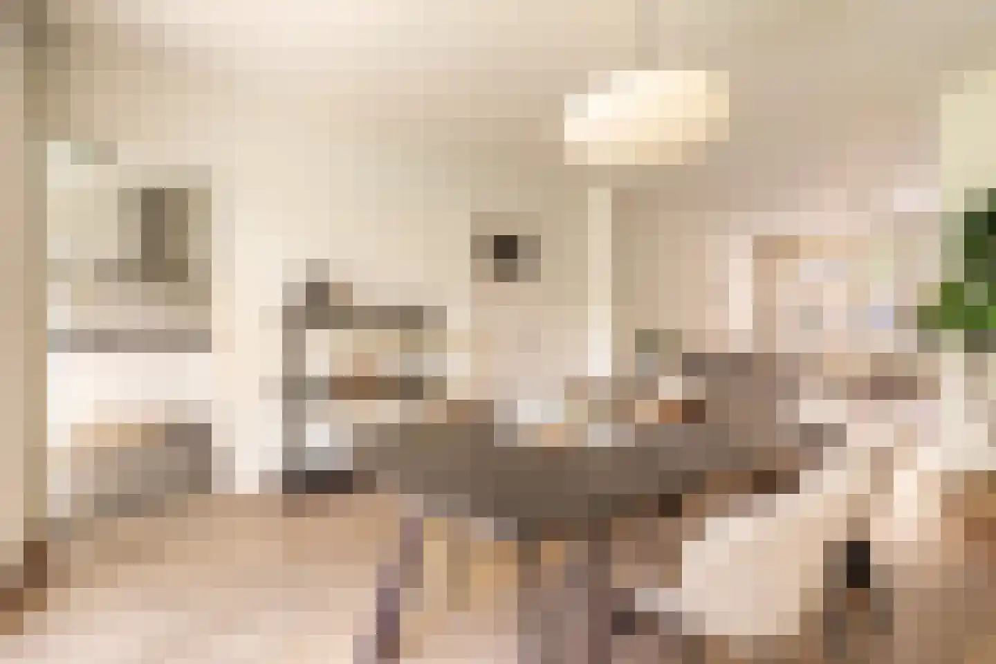 Paramaribostraat 71 1 Amsterdam thumbnail 6