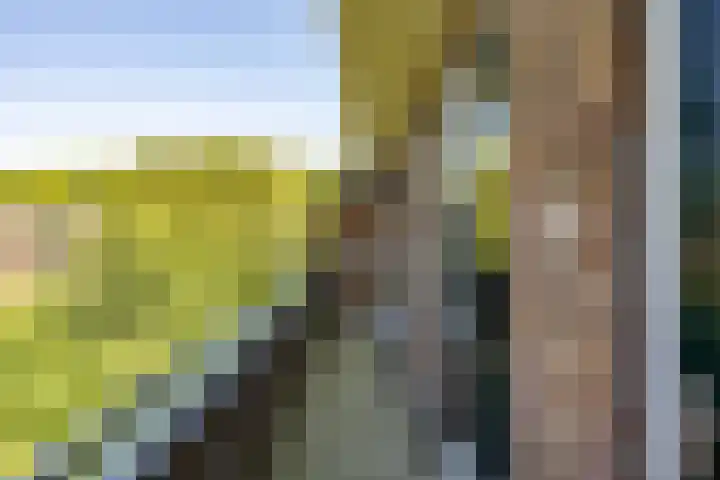 Paramaribostraat 72 Groningen thumbnail 14