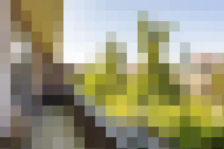 Paramaribostraat 72 Groningen thumbnail 15