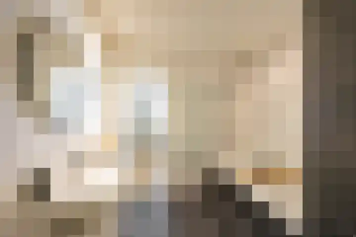 Paramaribostraat 72 Groningen thumbnail 20