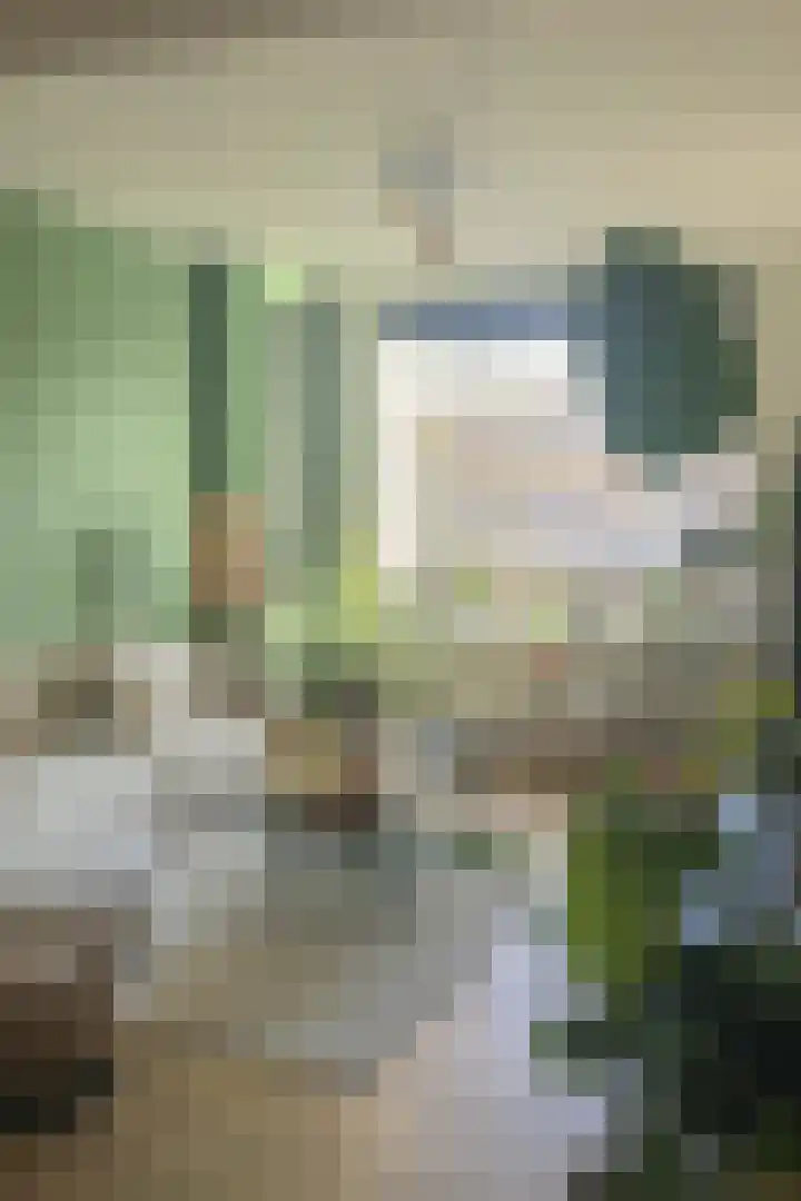 Paramaribostraat 72 Groningen thumbnail 8