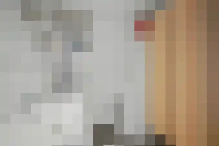 Paramaribostraat 72 Utrecht thumbnail 19