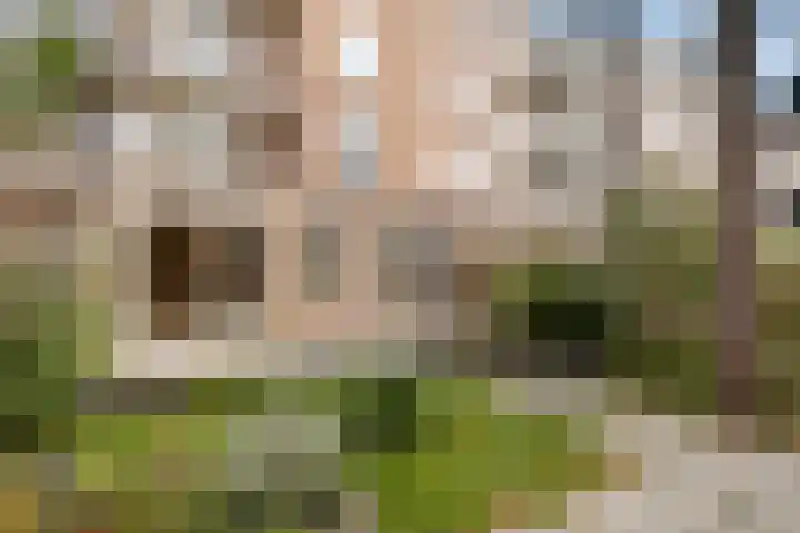 Paramaribostraat 75 Amsterdam thumbnail 29