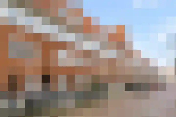 Paramaribostraat 75 Amsterdam thumbnail 30