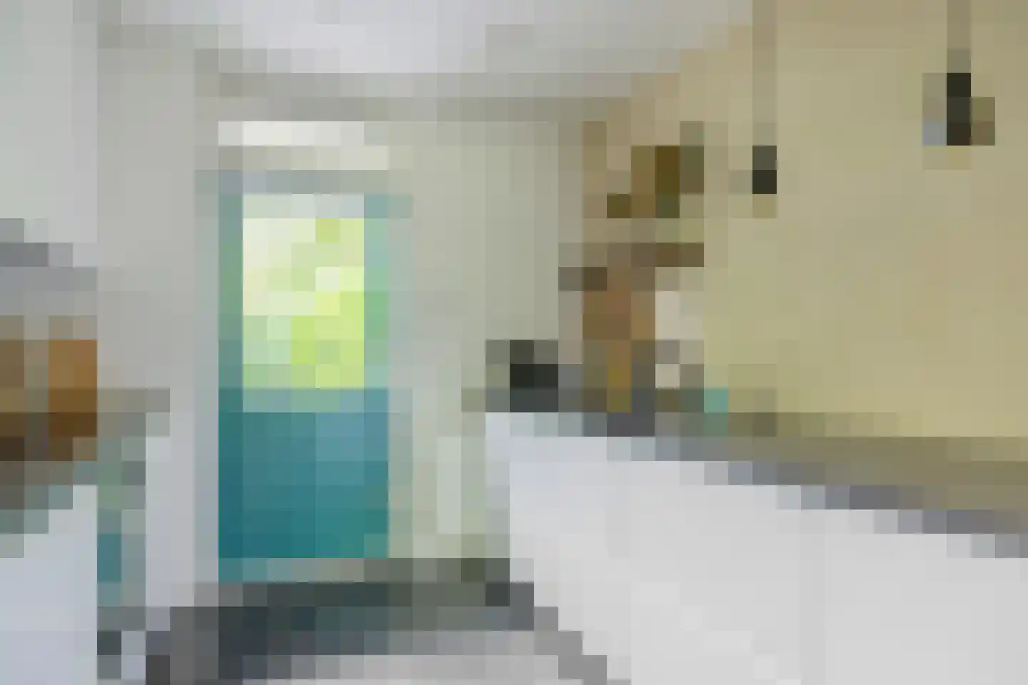 Paramaribostraat 76 Groningen thumbnail 13