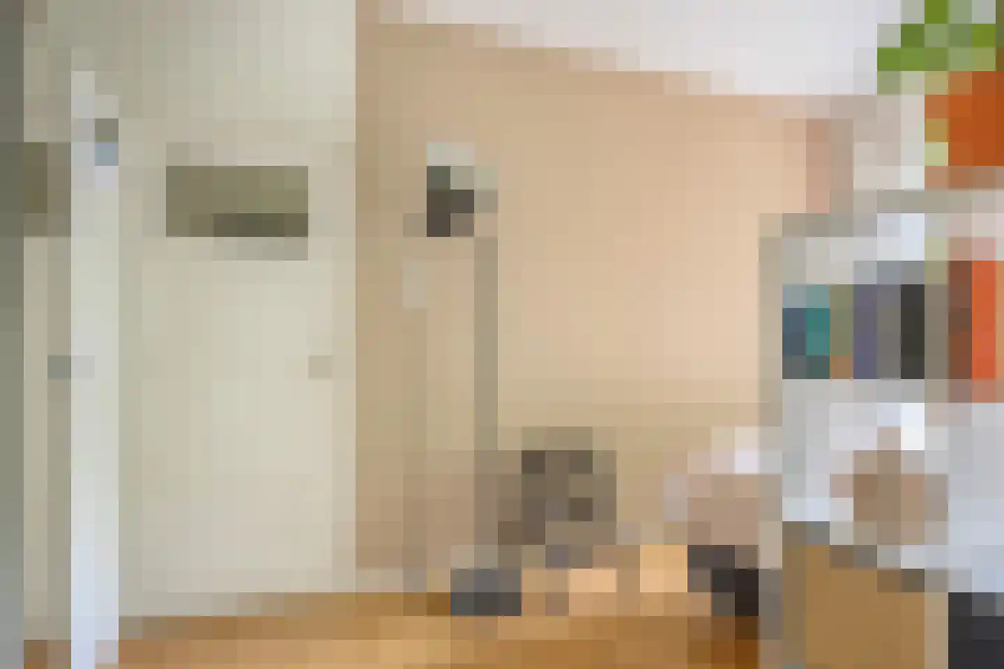Paramaribostraat 76 Groningen thumbnail 16