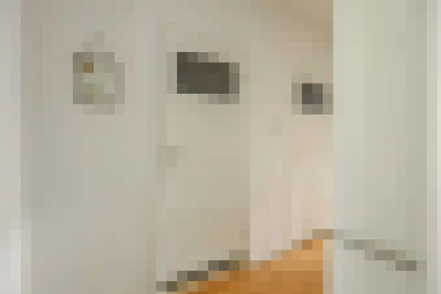 Paramaribostraat 76 Groningen thumbnail 19