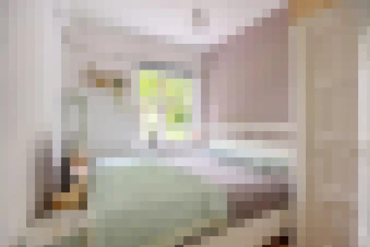 Paramaribostraat 76 Groningen thumbnail 25