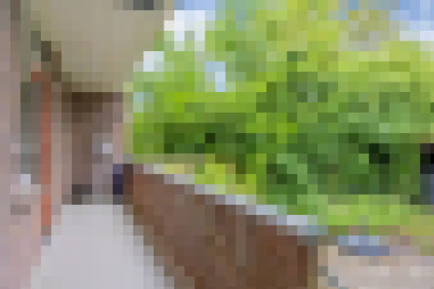 Paramaribostraat 76 Groningen thumbnail 26