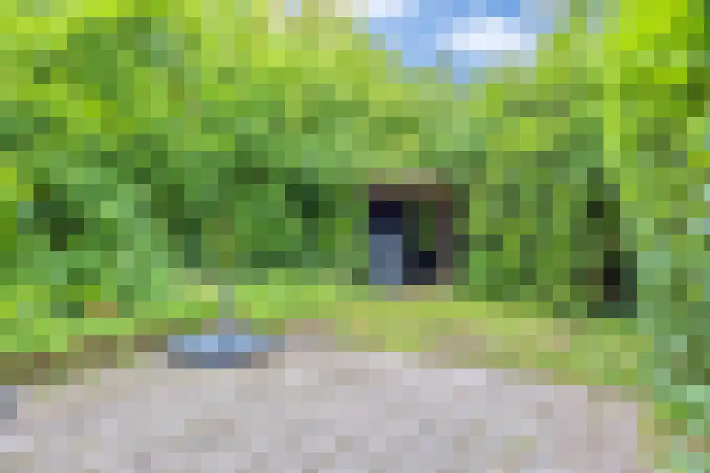 Paramaribostraat 76 Groningen thumbnail 29