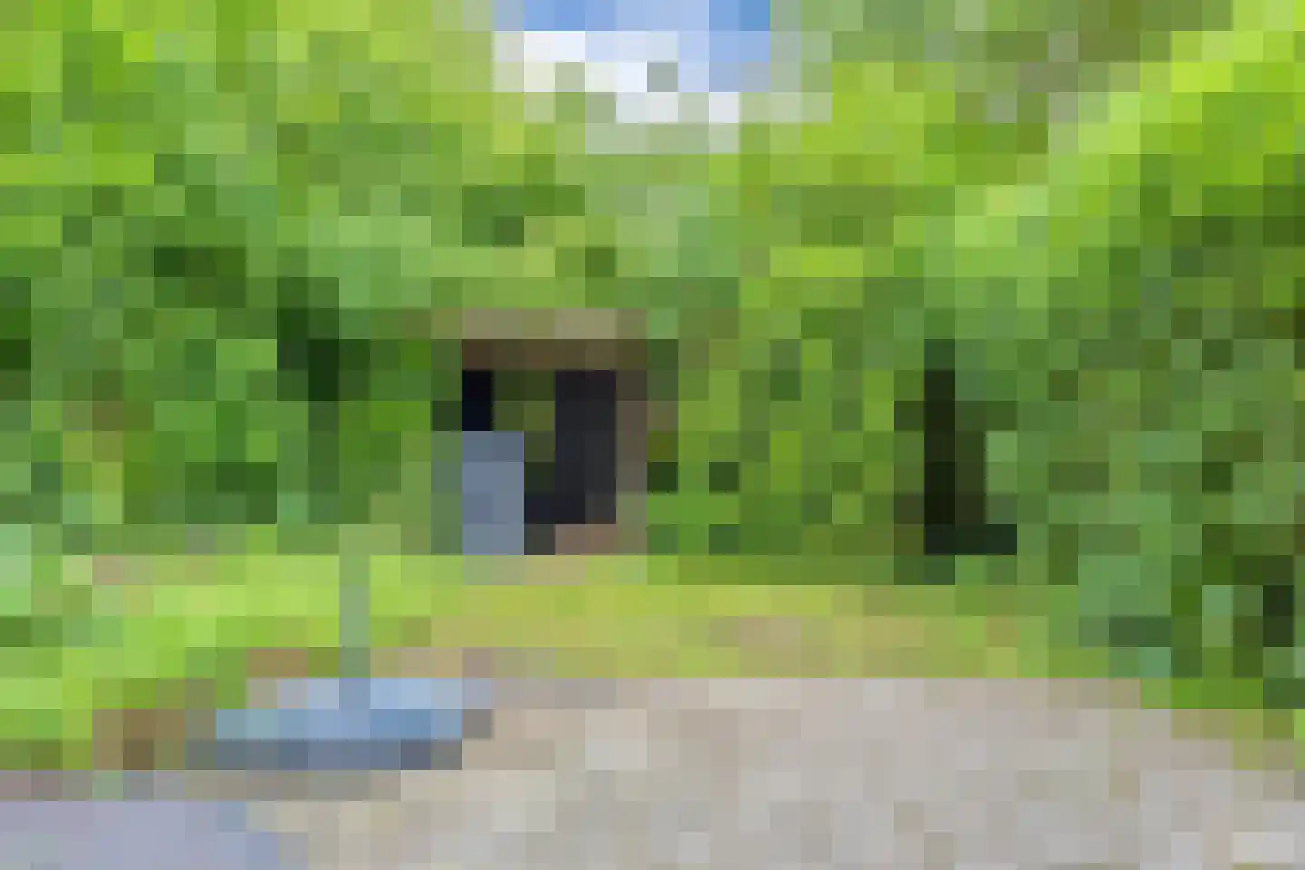 Paramaribostraat 76 Groningen thumbnail 30