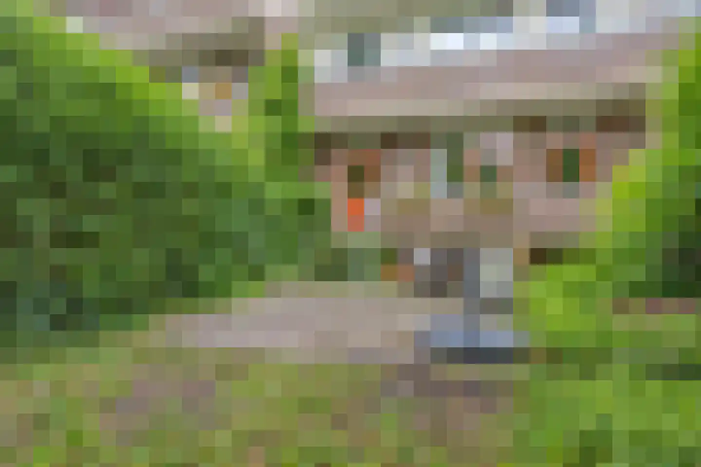 Paramaribostraat 76 Groningen thumbnail 33
