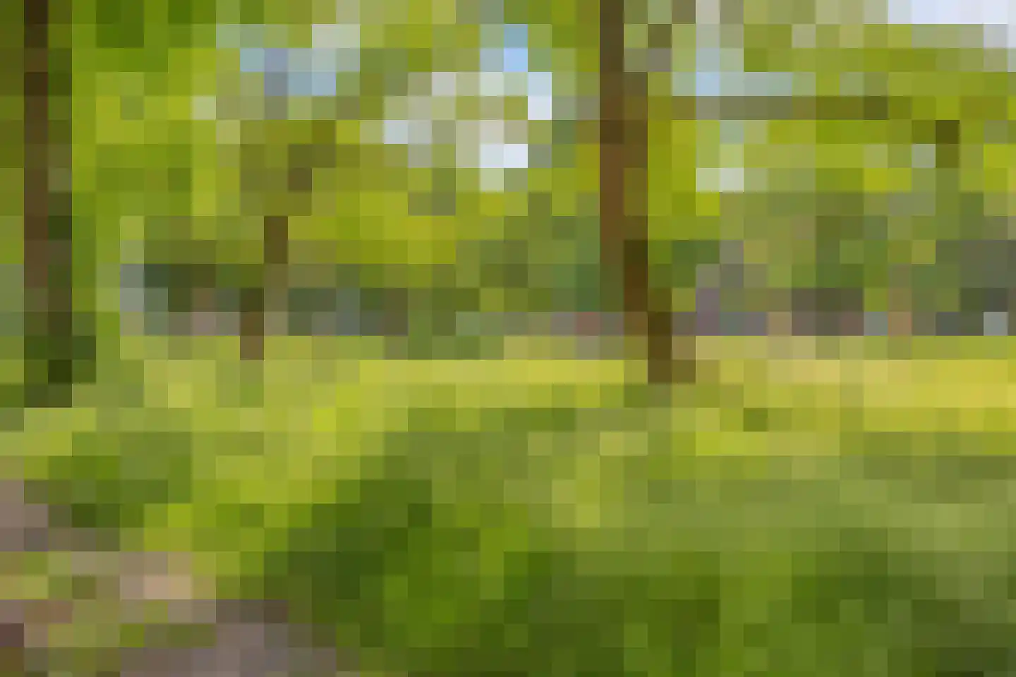 Paramaribostraat 76 Groningen thumbnail 34