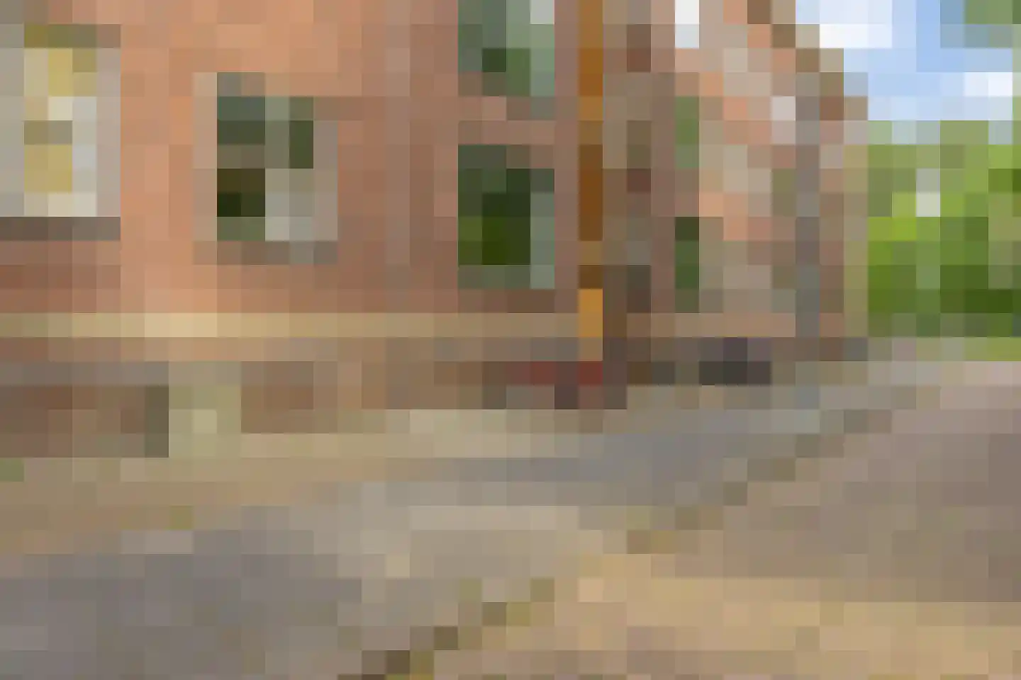 Paramaribostraat 76 Groningen thumbnail 4