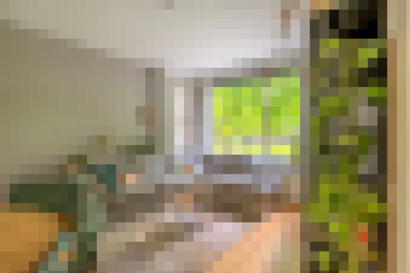 Paramaribostraat 76 Groningen thumbnail 9