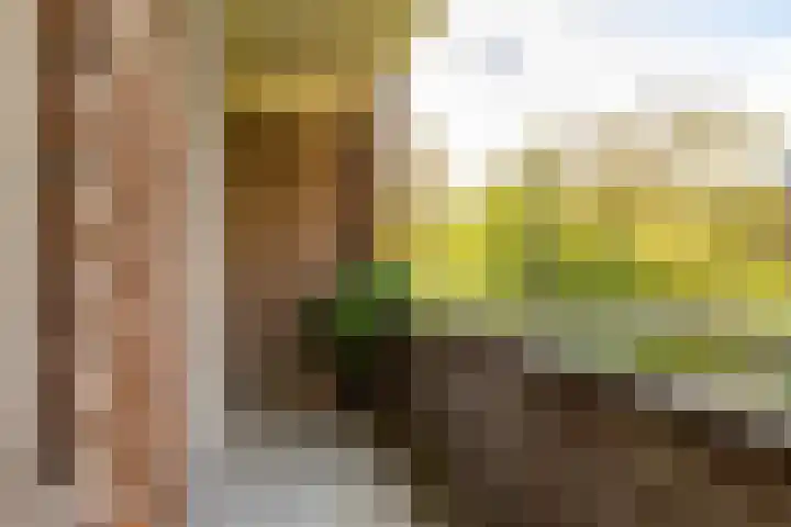 Paramaribostraat 78 Groningen thumbnail 17