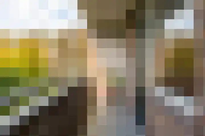 Paramaribostraat 78 Groningen thumbnail 18