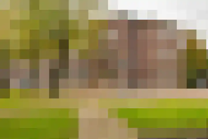 Paramaribostraat 78 Groningen thumbnail 20