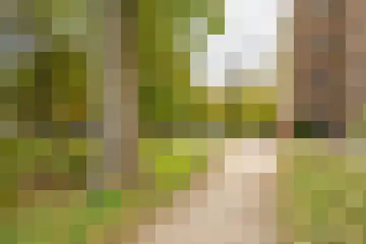 Paramaribostraat 78 Groningen thumbnail 21