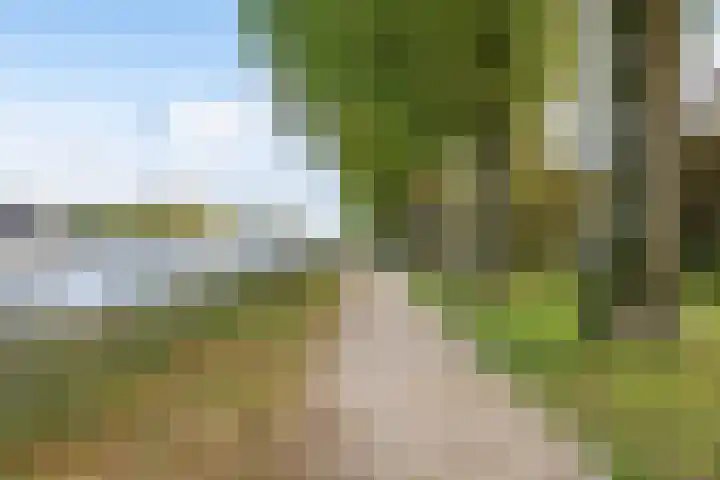 Paramaribostraat 78 Groningen thumbnail 24