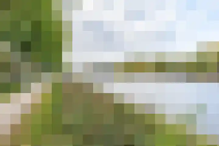 Paramaribostraat 78 Groningen thumbnail 25