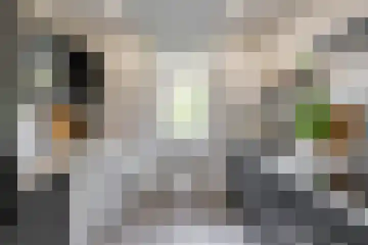 Paramaribostraat 78 Groningen thumbnail 8