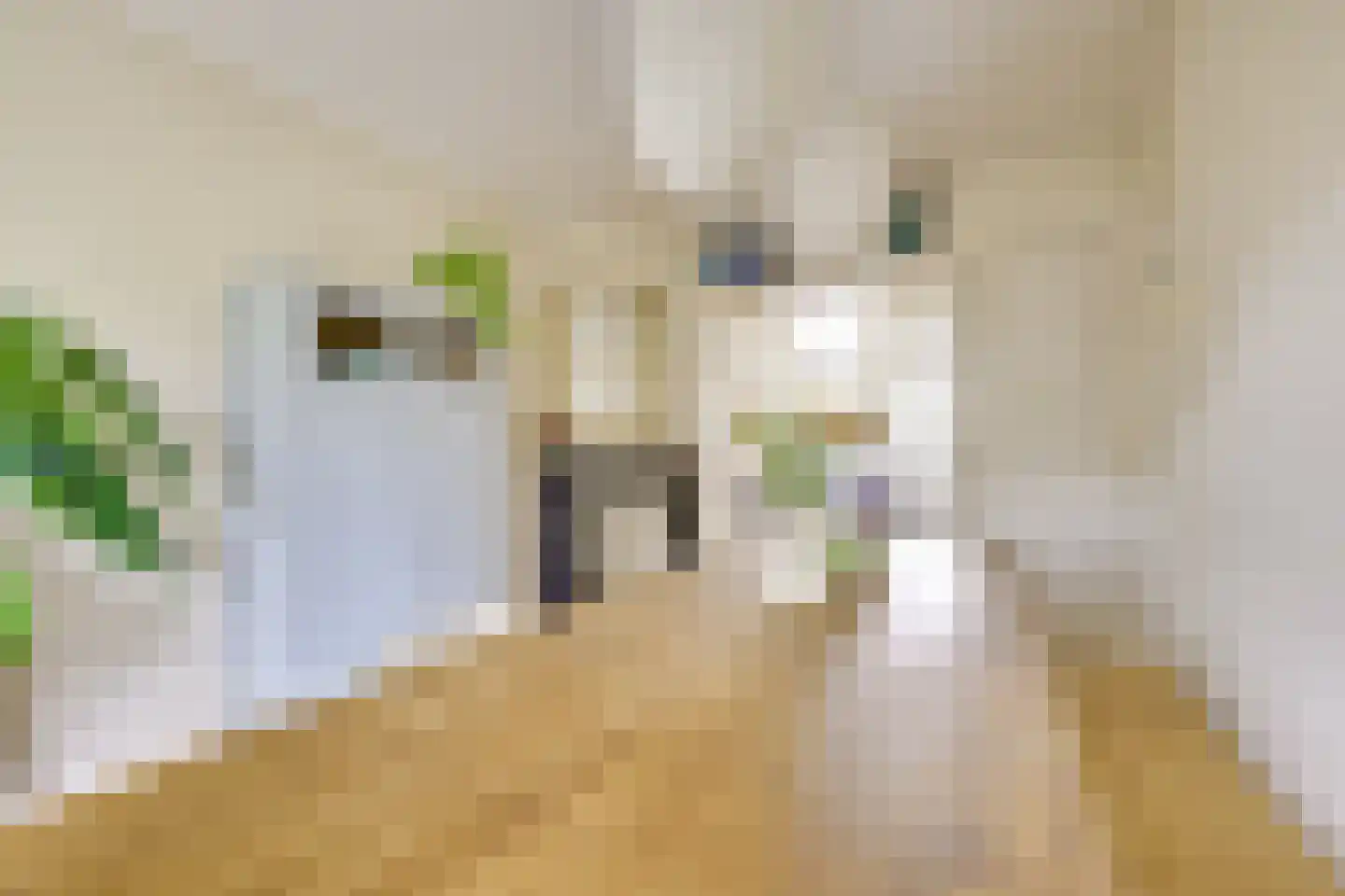 Paramaribostraat 78 Utrecht thumbnail 14