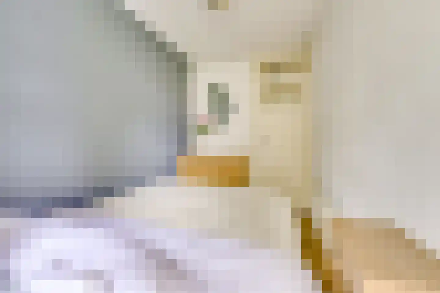 Paramaribostraat 78 Utrecht thumbnail 17