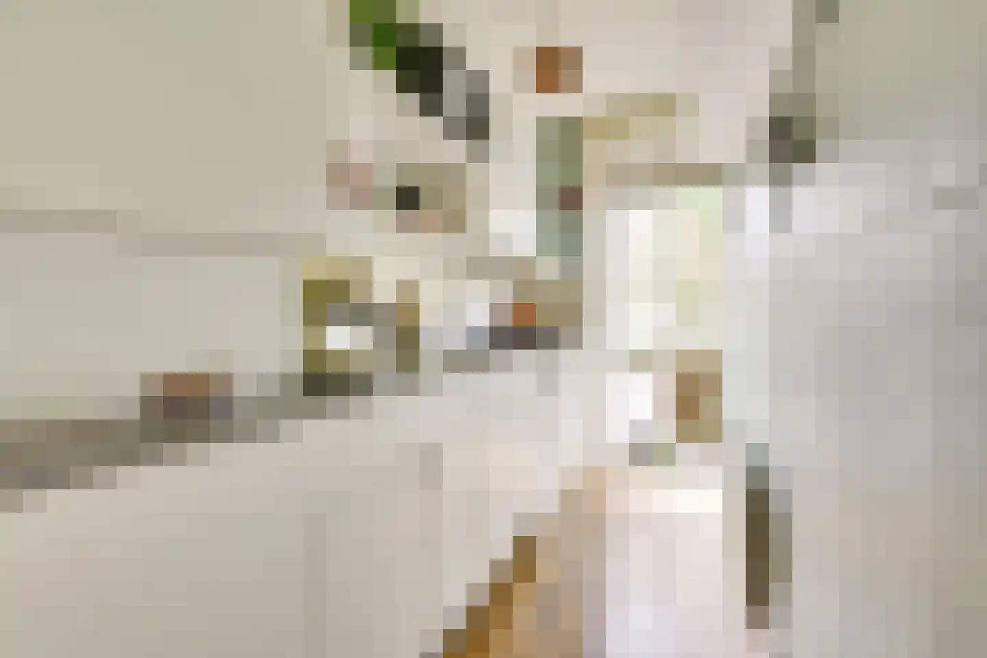 Paramaribostraat 78 Utrecht thumbnail 20