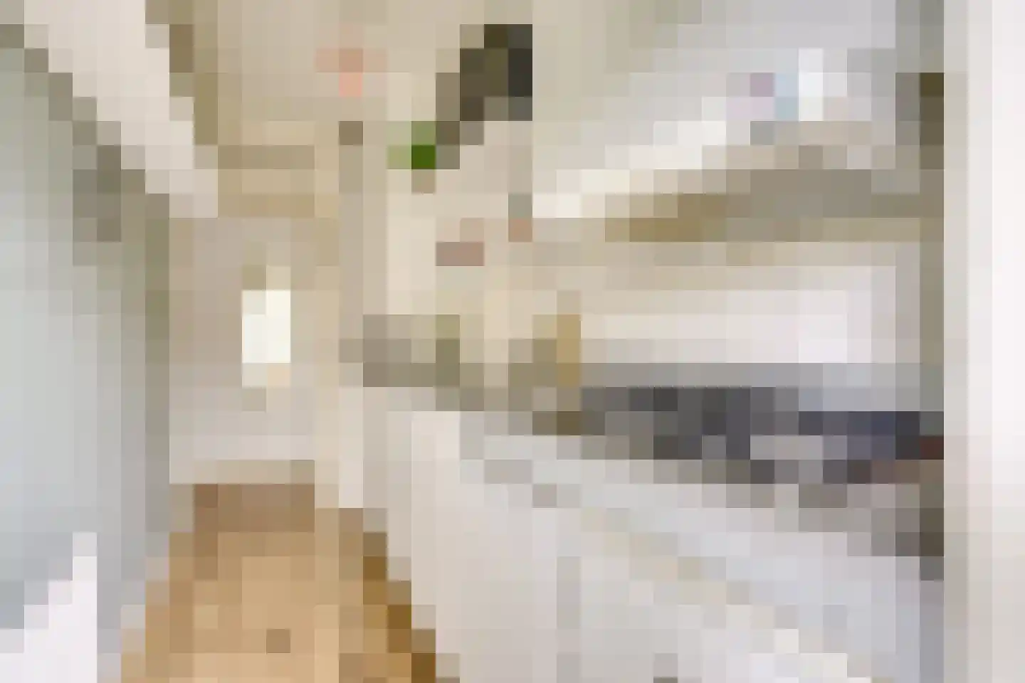 Paramaribostraat 78 Utrecht thumbnail 21