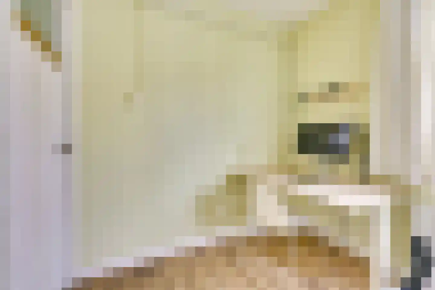 Paramaribostraat 78 Utrecht thumbnail 23