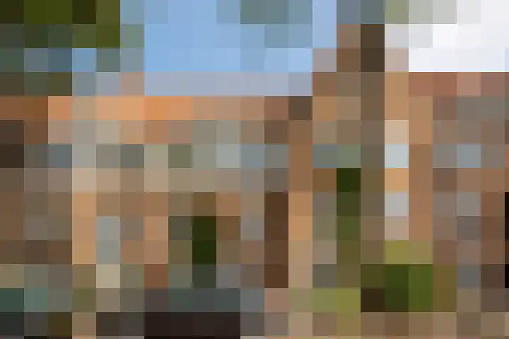 Paramaribostraat 88 Amsterdam