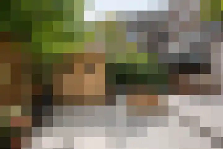 Paramaribostraat 88 Amsterdam thumbnail 19