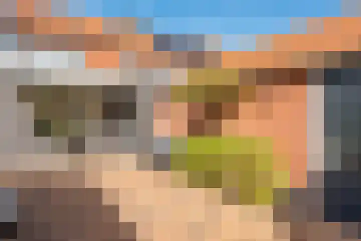 Paramaribostraat 88 Amsterdam thumbnail 42