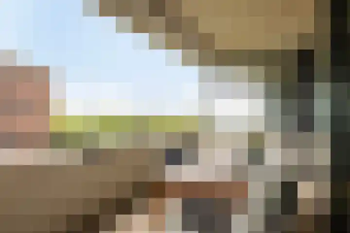 Paramaribostraat 88 Amsterdam thumbnail 5