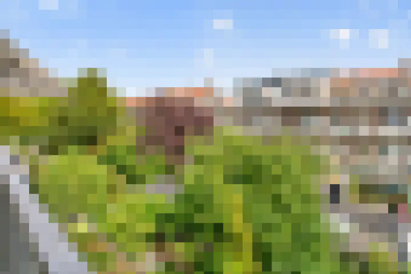 Paramaribostraat 92 2 Amsterdam thumbnail 27