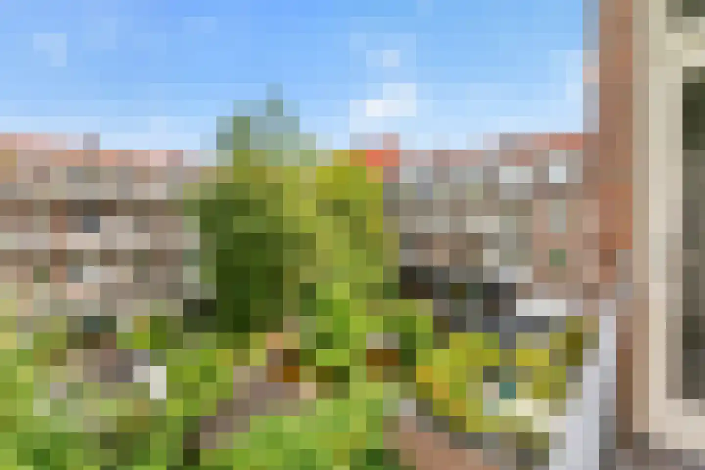 Paramaribostraat 92 2 Amsterdam thumbnail 28