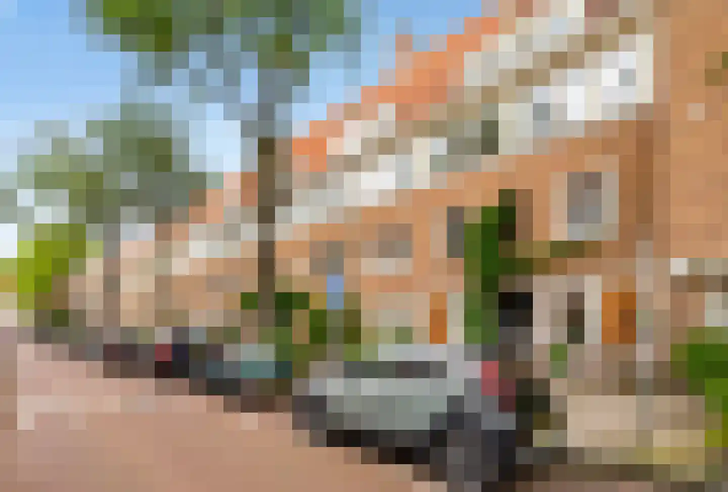 Paramaribostraat 92 2 Amsterdam thumbnail 35
