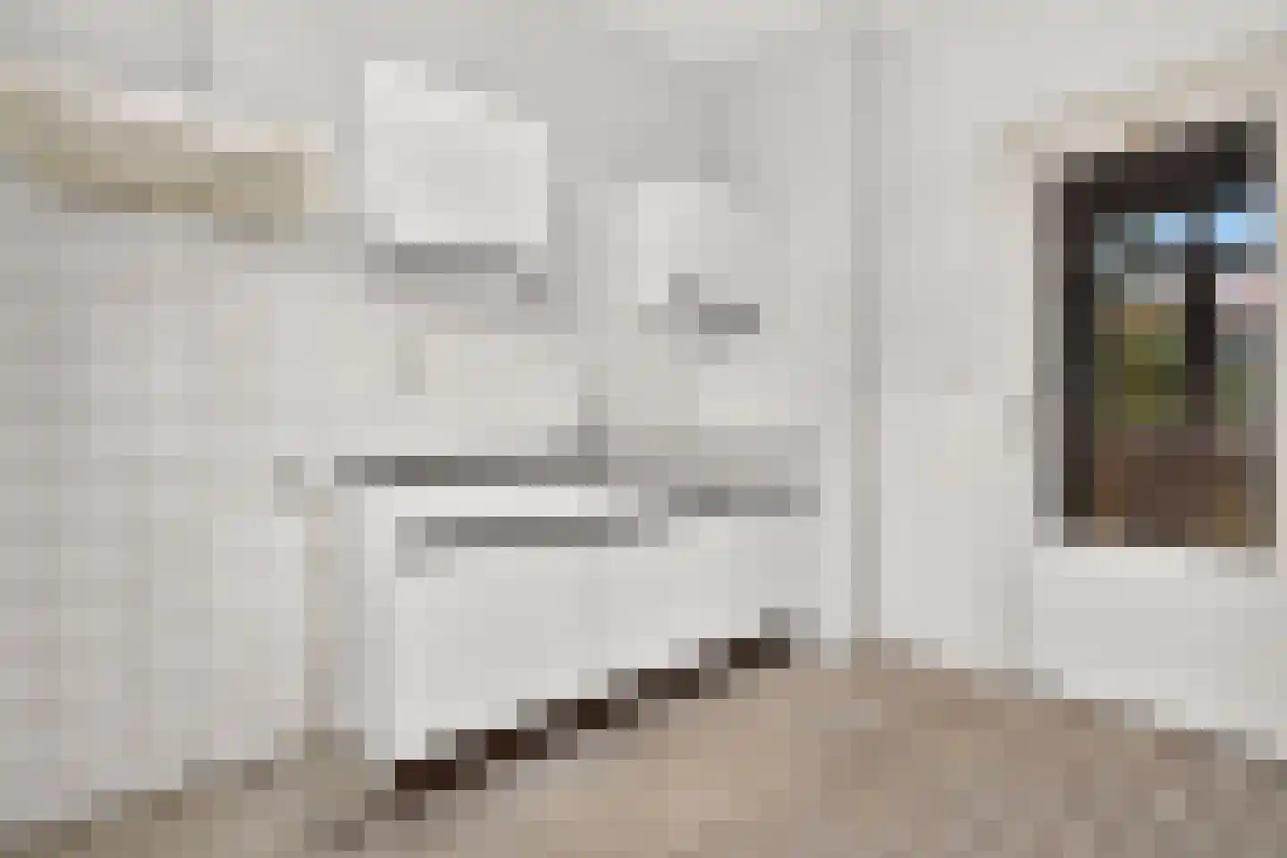 Paramaribostraat 92 2 Amsterdam thumbnail 9