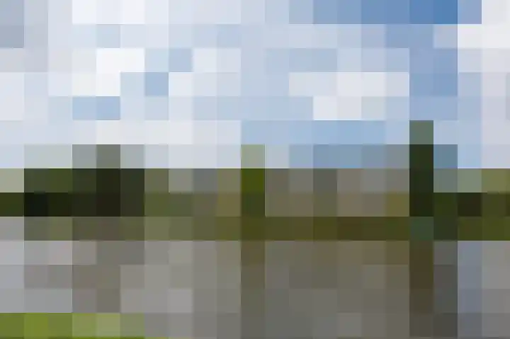 Paramaribostraat 93 Leiden