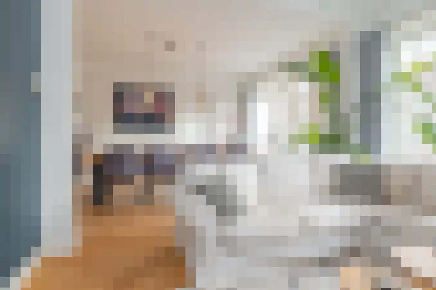 Paramaribostraat 97 1 Amsterdam thumbnail 12