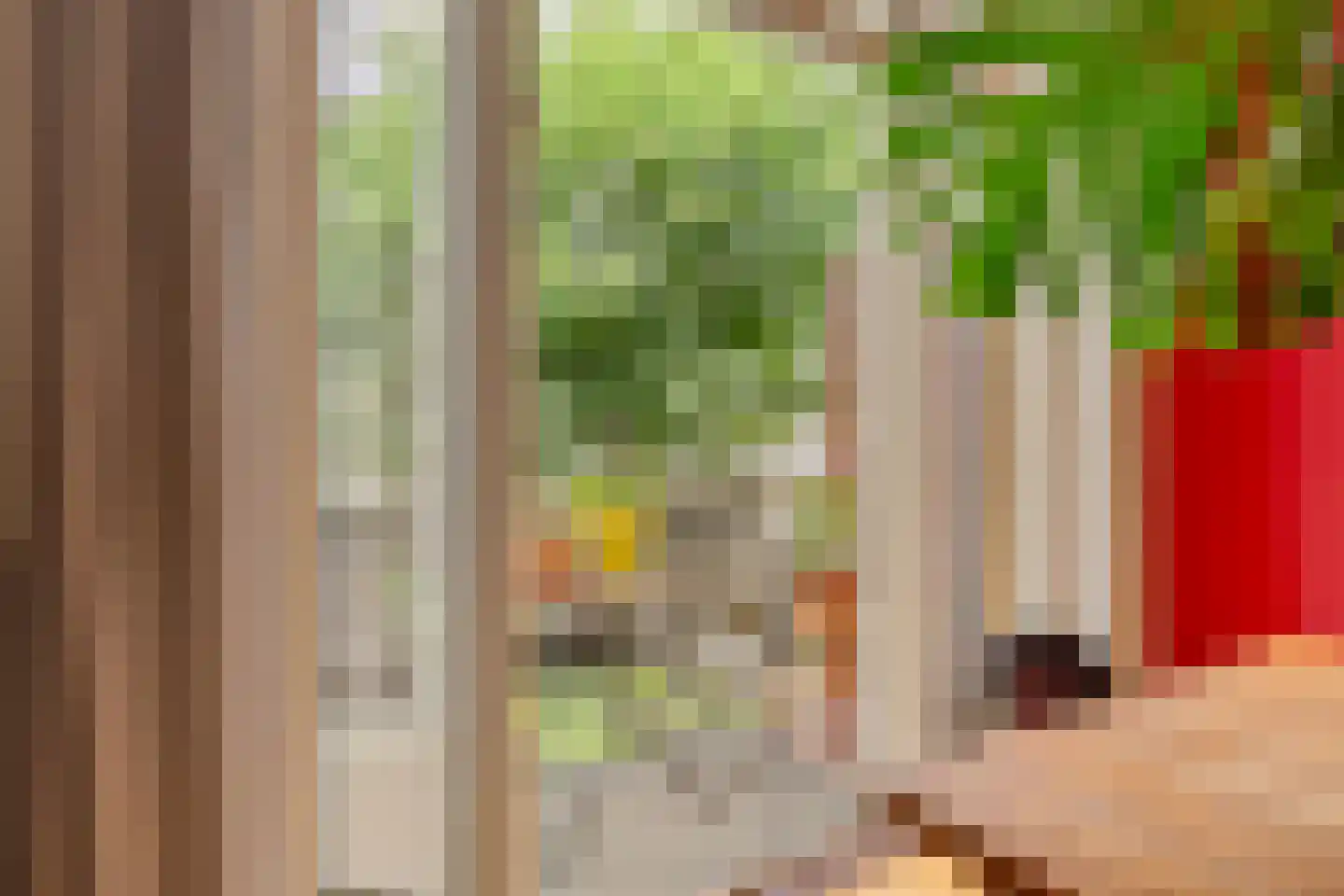 Paramaribostraat 97 1 Amsterdam thumbnail 9