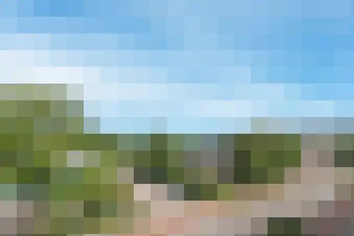 Paranádreef 123 Utrecht thumbnail 18