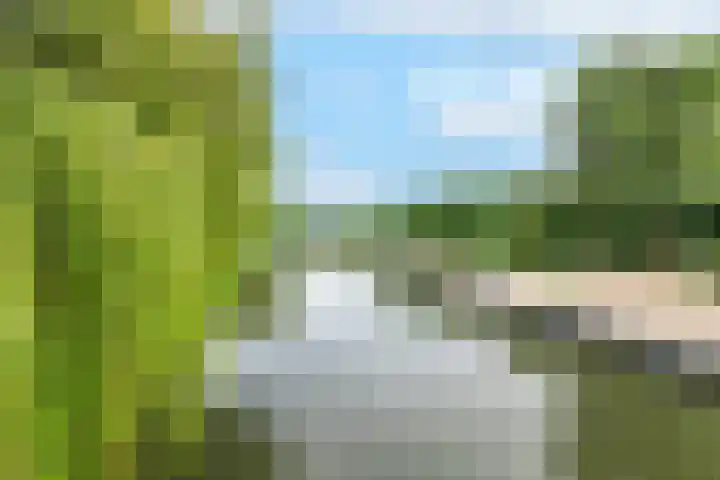 Paranádreef 123 Utrecht thumbnail 30