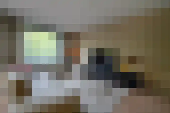 Paranádreef 41 Utrecht thumbnail 11
